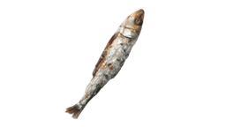 Sardina cabeza arriba derecha